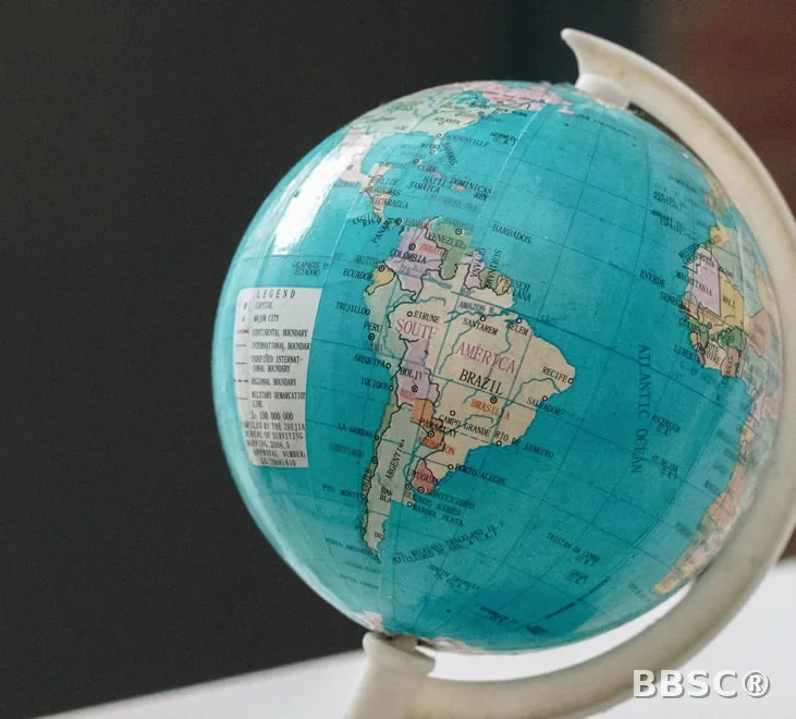 Operaciones internacionales entre partes relacionadas — BBSC®