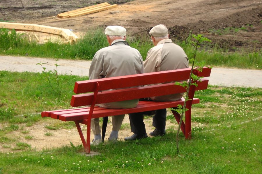 Exención del 100% del Impuesto Territorial para personas de 65 años o más: requisitos, resguardos y sanciones
