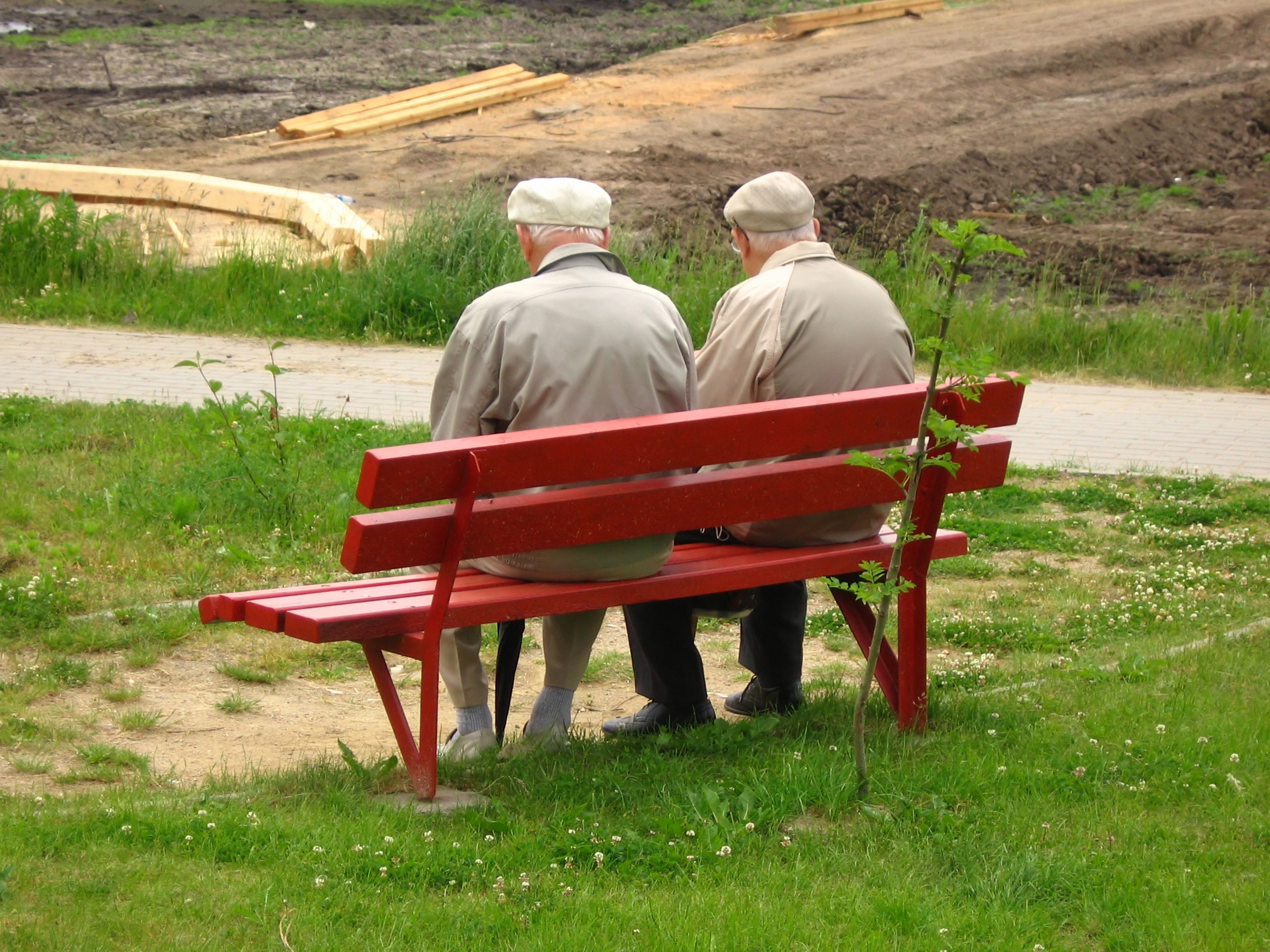 Exención del 100% del Impuesto Territorial para personas de 65 años o más: requisitos, resguardos y sanciones